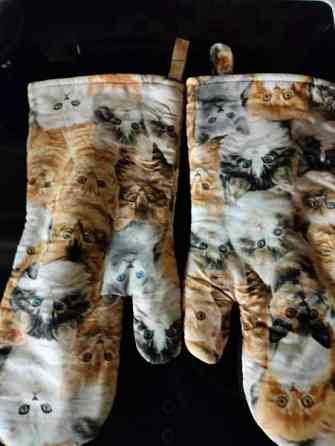 Kissat 2 kpl Kaarina