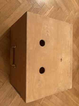 Laatikko, Kuljetus, Koria, Kissa, Eläin Helsinki