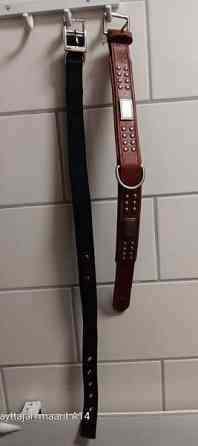 Koiran kaulapannat 2kpl Seinaejoki