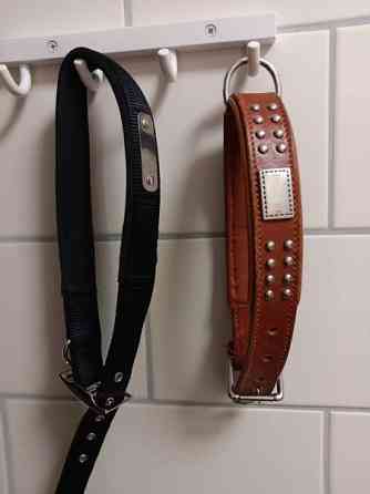 Koiran kaulapannat 2kpl Seinaejoki