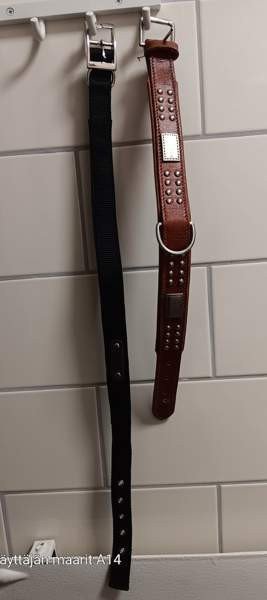 Koiran kaulapannat 2kpl Seinäjoki - valokuva 2