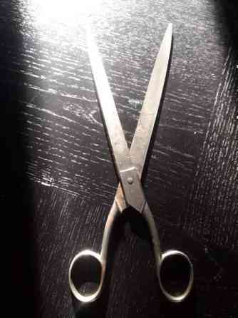 Vanha sakset SCHLOSS (LINNA) Saksa Pituus : 25 cm Vantaa