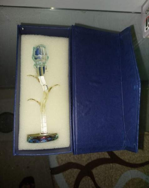 Uusi kristalliruusu telineessä Йоэнсуу - изображение 2