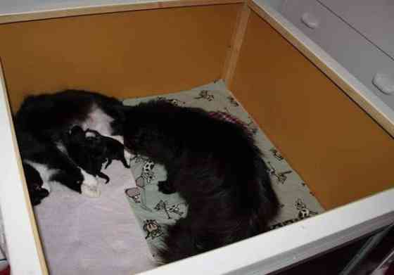 Pentulaatikko n. 90 x 90 cm Нокиа