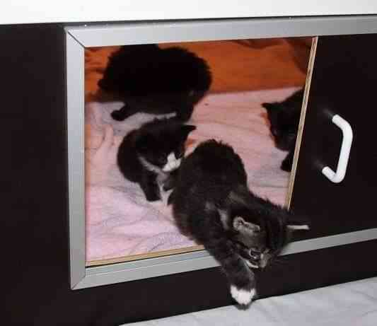 Pentulaatikko n. 90 x 90 cm Нокиа