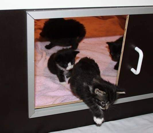 Pentulaatikko n. 90 x 90 cm Nokia - photo 2