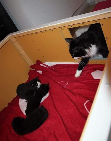 Pentulaatikko n. 90 x 90 cm Nokia - photo 3