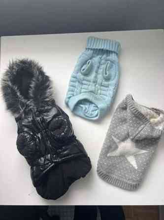 Chihuahua talvitakki +neuleet Espoo