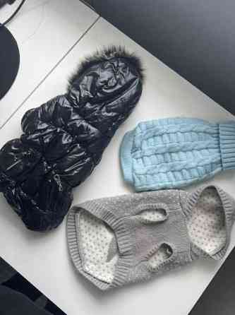 Chihuahua talvitakki +neuleet Espoo