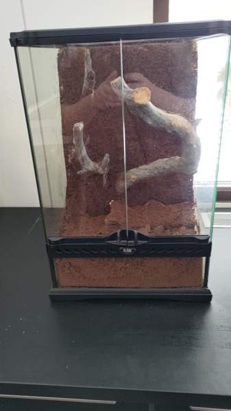 Terraario Kouvola - photo 1