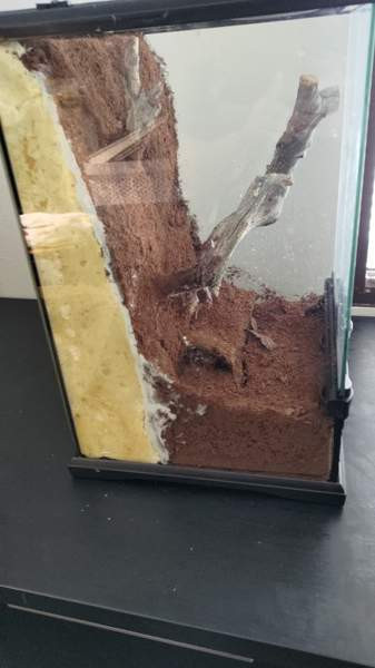 Terraario Kouvola - photo 3