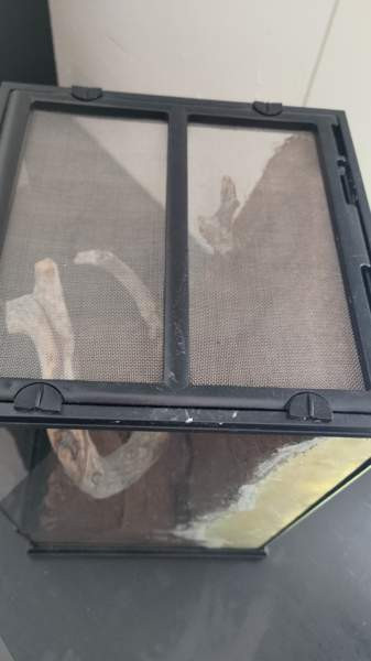 Terraario Kouvola - photo 5