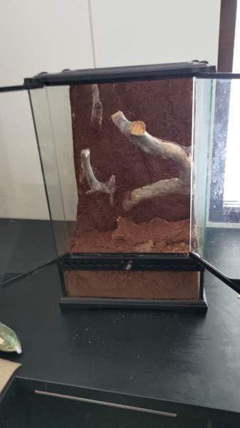 Terraario Kouvola - photo 4