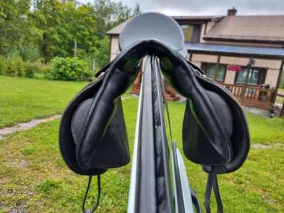 Mustang 17/33 Orivesi