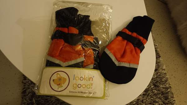 Koiran tassutossit xl Helsinki – foto 1