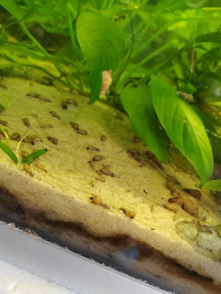 Kierteisiä Kangasala – foto 2