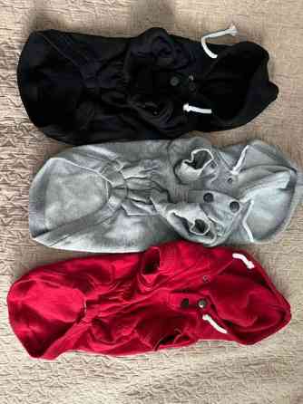 Rukka punainen koiran huppari koko 30 Helsinki