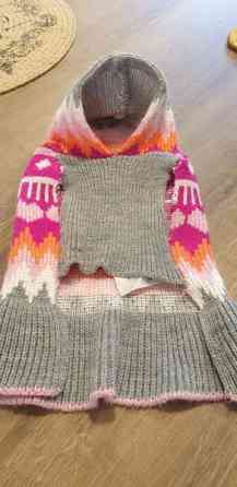 Koiran villaneule Tampere