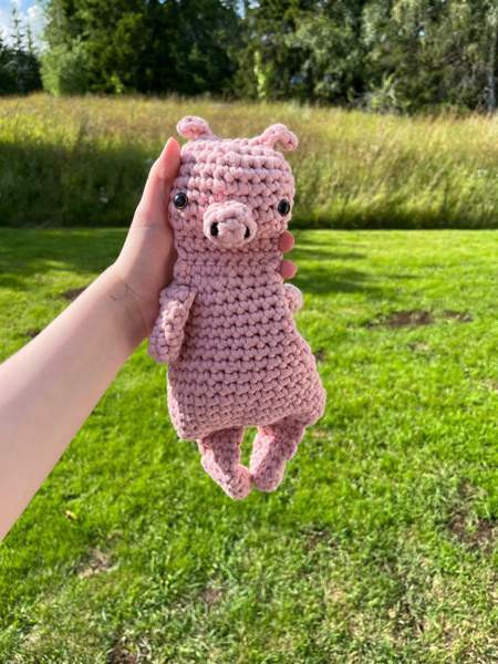 Virkattu koiran/lasten lelu Lempäälä - valokuva 1