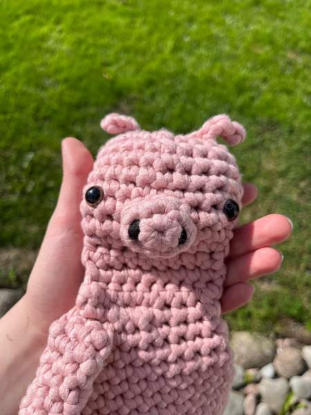 Virkattu koiran/lasten lelu Lempäälä - valokuva 5