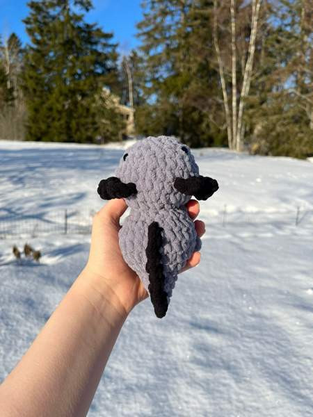 Virkatut axolotlit Лемпяаля - изображение 5