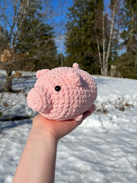 Virkattu possu Lempaeaelae – foto 3