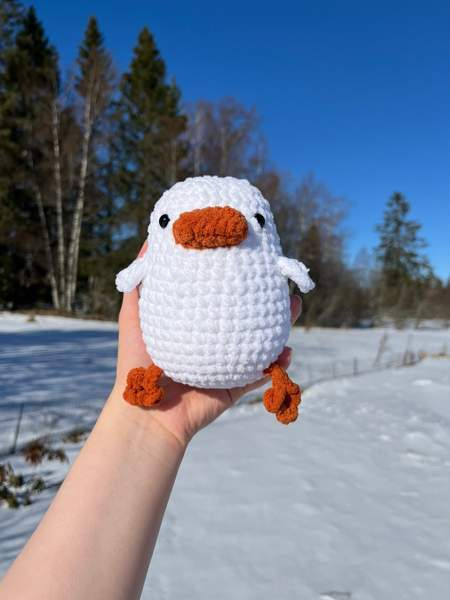 Virkattu ankka Lempäälä - valokuva 1