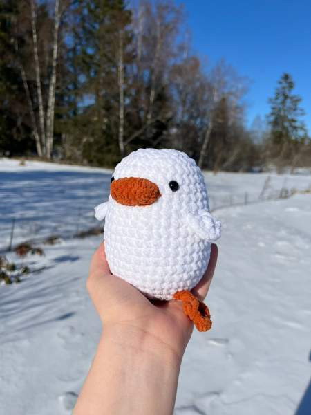 Virkattu ankka Lempäälä - valokuva 3