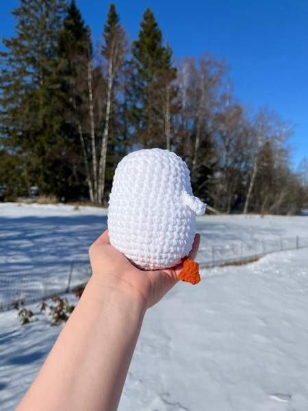 Virkattu ankka Lempäälä - valokuva 5