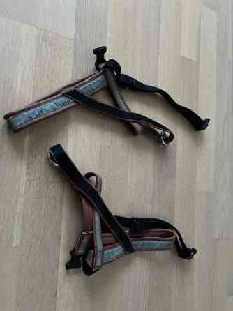 Koiranvaljaat Joensuu