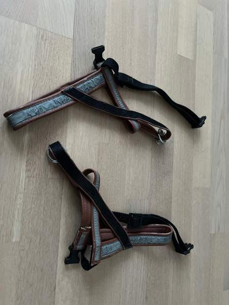 Koiranvaljaat Joensuu – foto 1