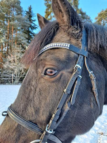 Uusi otsapanta Turku - photo 2