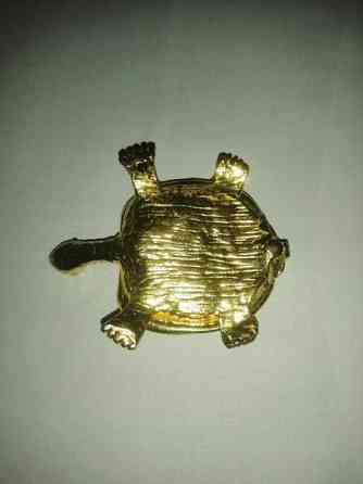 Koriste kilpikonna Sastamala