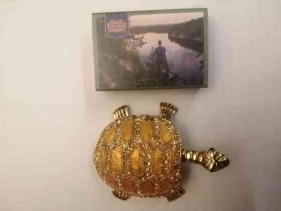 Koriste kilpikonna Sastamala