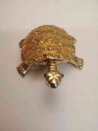 Koriste kilpikonna Sastamala