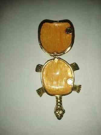 Koriste kilpikonna Sastamala