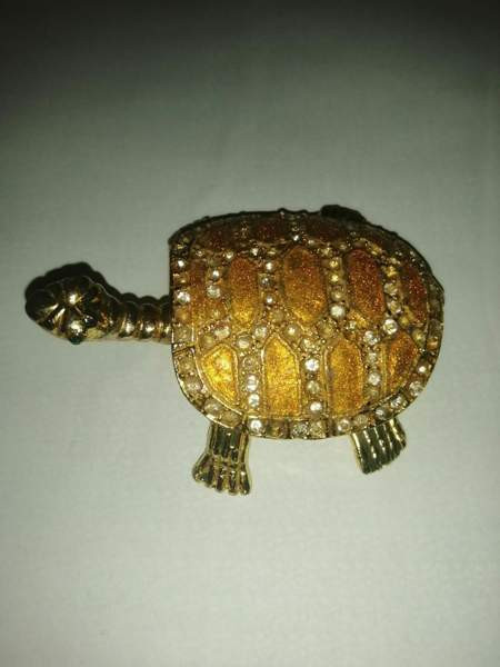 Koriste kilpikonna Sastamala - изображение 1