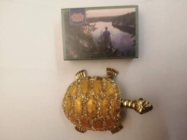 Koriste kilpikonna Sastamala - изображение 5