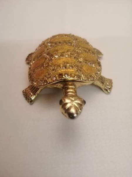 Koriste kilpikonna Sastamala - изображение 3