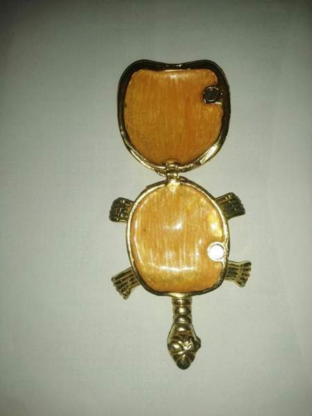 Koriste kilpikonna Sastamala - изображение 2