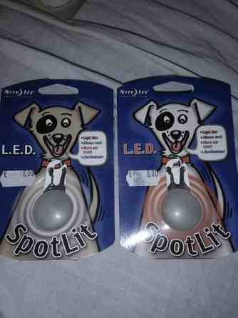 Koirille LED-valo tarvikkeita -: Nite Ize Kerava