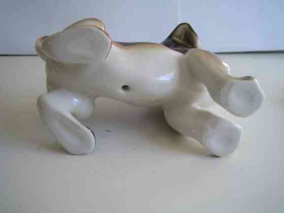 Lomonosov Mäyräkoira Keminmaa