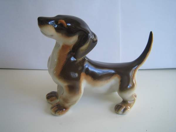 Lomonosov Mäyräkoira Keminmaa - photo 1