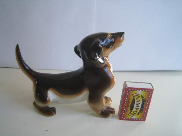 Lomonosov Mäyräkoira Keminmaa - photo 2