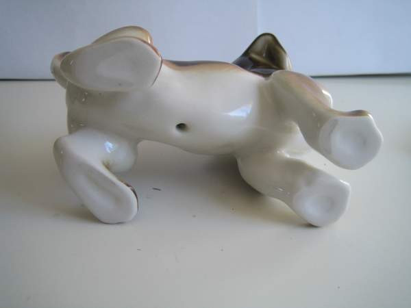 Lomonosov Mäyräkoira Keminmaa - photo 3