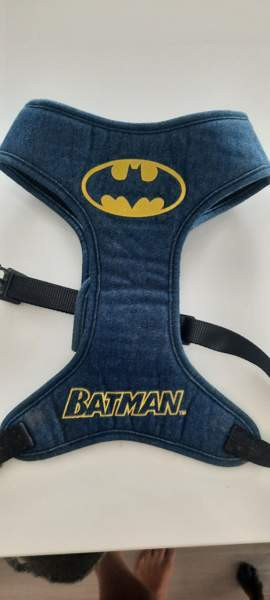 Batman valjaat Лаппенранта - изображение 1