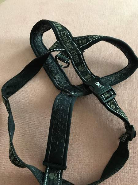 Koiran hurtta valjaat koko 90 Kontiolahti - valokuva 2