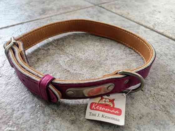 Koiran panta, kaulapanta Raasepori