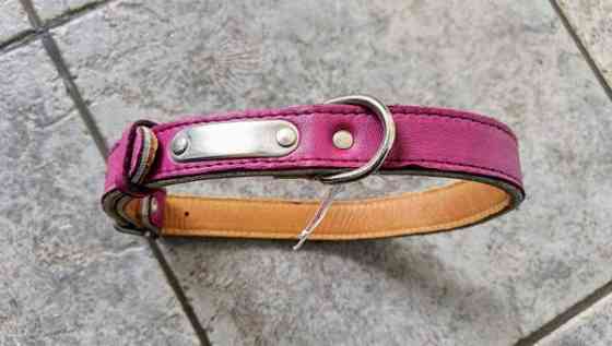 Koiran panta, kaulapanta Raasepori