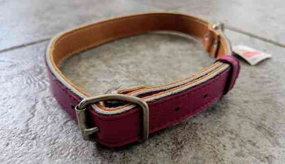 Koiran panta, kaulapanta Raasepori